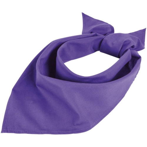 Шейный платок Bandana Шейный платок Bandana