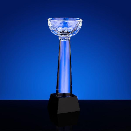 Кубок Cupture фото 3