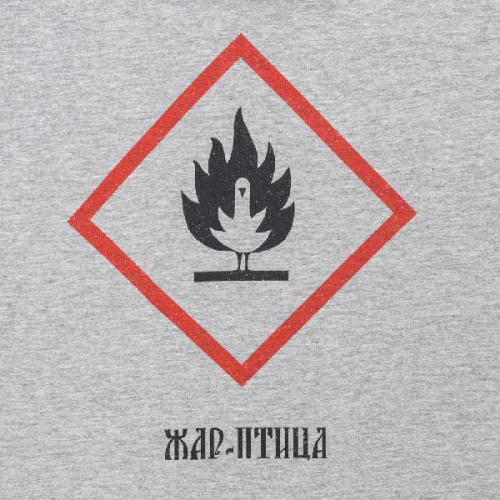 Футболка «Жар-птица», серый меланж фото 3