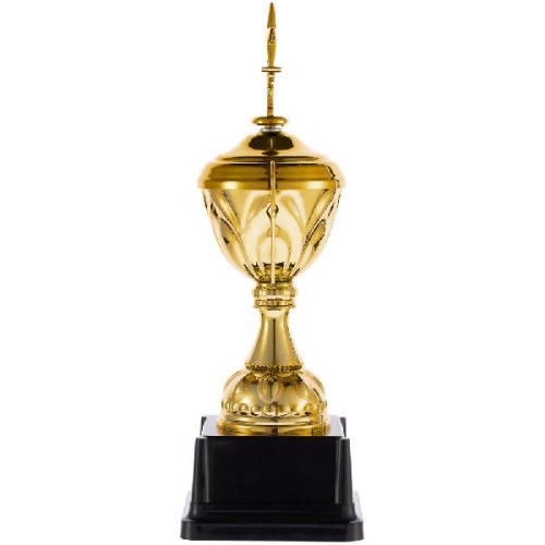 Кубок Top Star, золотистый фото 2