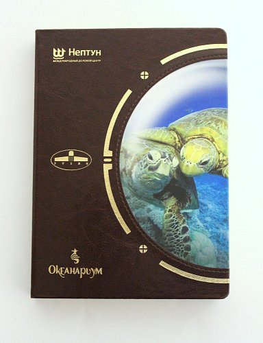 Ежедневник по индивидуальному проекту